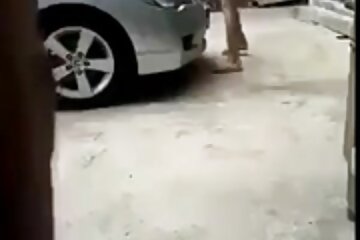 ماركوس