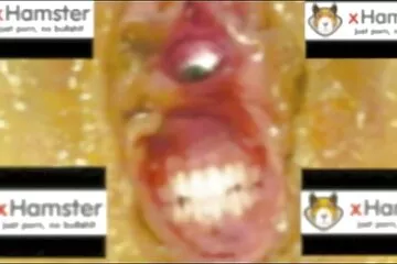 Sweet lady سكس مص مصري / Private Gold 14: Sweet Lady movie 1 in Russian.